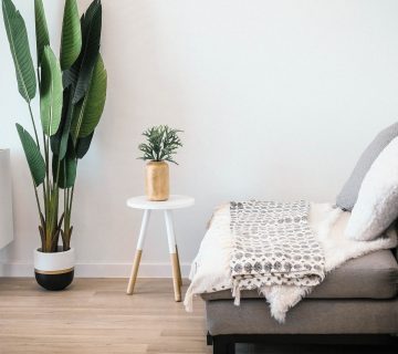 De verschillende soorten plinten