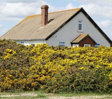 Vergeet deze details niet bij het onderhouden van je dak