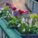 Tuinbakken online kopen