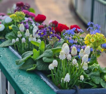 Tuinbakken online kopen
