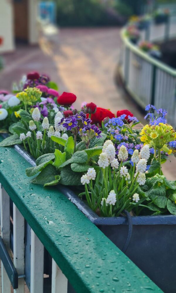 Tuinbakken online kopen (1) Tuinbakken online kopen