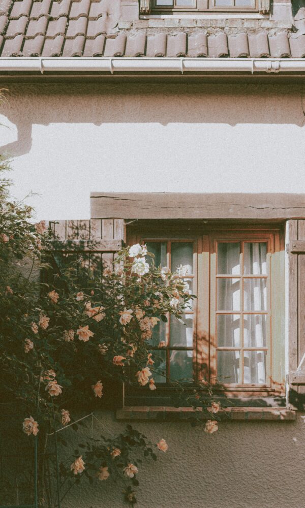 Veranda’s of overkappingen als uitbreiding van je huis (1) Veranda’s of overkappingen als uitbreiding van je huis