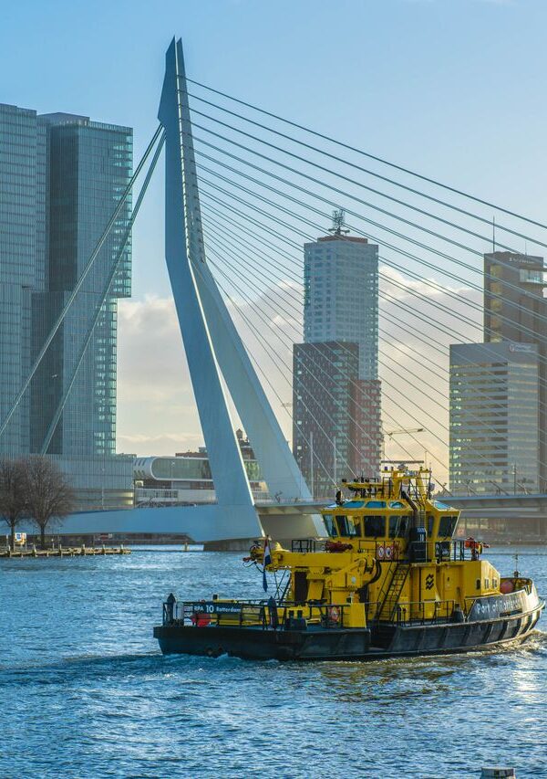 Architectuur in Rotterdam van visie naar werkelijkheid